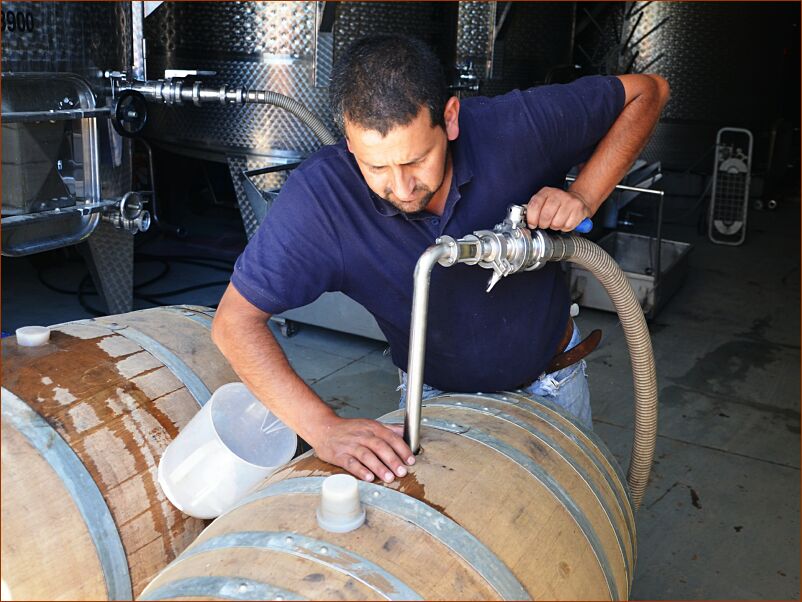 Vineyard2 - barrel fill